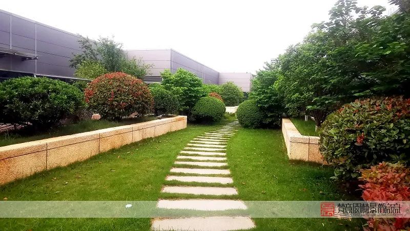 屋頂花園設(shè)計